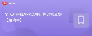 个人所得税APP怎样计算退税金额【超简单】