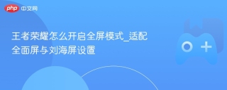 王者荣耀怎么开启全屏模式_适配全面屏与刘海屏设置