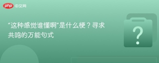 “这种感觉谁懂啊”是什么梗？寻求共鸣的万能句式