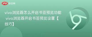 vivo浏览器怎么开启书签预览功能 vivo浏览器开启书签预览设置【技巧】