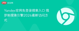 Yandex官网免登录搜索入口 俄罗斯搜索引擎2026最新访问方式