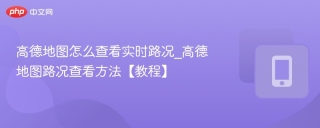 高德地图怎么查看实时路况_高德地图路况查看方法【教程】