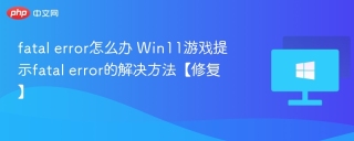 fatal error怎么办 Win11游戏提示fatal error的解决方法【修复】