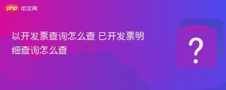 以开发票查询怎么查 已开发票明细查询怎么查 - php中文网
