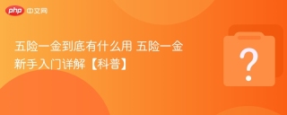 五险一金到底有什么用 五险一金新手入门详解【科普】