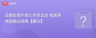应届生找不到工作怎么办 低成本转型副业指南【建议】