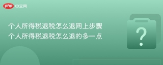 个人所得税退税怎么退网上步骤 个人所得税退税怎么退的多一点