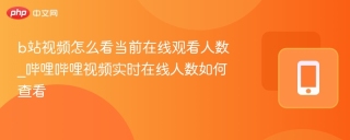 b站视频怎么看当前在线观看人数_哔哩哔哩视频实时在线人数如何查看