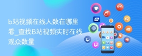 b站视频在线人数在哪里看_查找B站视频实时在线观众数量