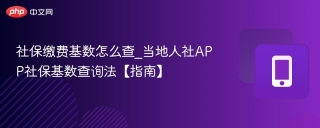 社保缴费基数怎么查_当地人社APP社保基数查询法【指南】