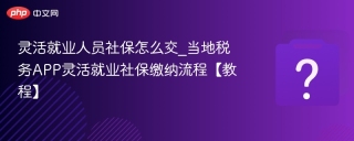 灵活就业人员社保怎么交_当地税务APP灵活就业社保缴纳流程【教程】
