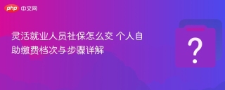 灵活就业人员社保怎么交 个人自助缴费档次与步骤详解