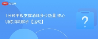 1分钟平板支撑消耗多少热量 核心训练消耗解析【运动】