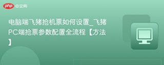 电脑端飞猪抢机票如何设置_飞猪PC端抢票参数配置全流程【方法】