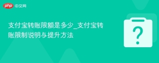 支付宝转账限额是多少_支付宝转账限制说明与提升方法