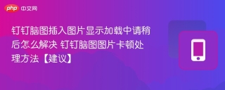 钉钉脑图插入图片显示加载中请稍后怎么解决 钉钉脑图图片卡顿处理方法【建议】