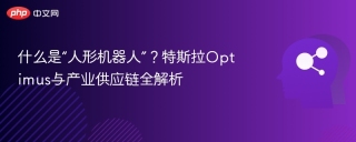 什么是“人形机器人”？特斯拉Optimus与产业供应链全解析