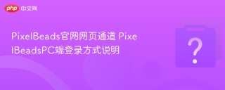 PixelBeads官网网页通道 PixelBeadsPC端登录方式说明
