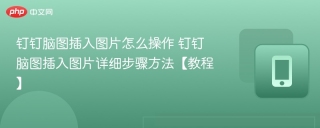 钉钉脑图插入图片怎么操作 钉钉脑图插入图片详细步骤方法【教程】