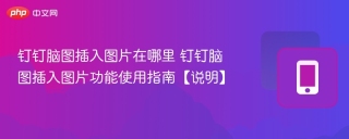 钉钉脑图插入图片在哪里 钉钉脑图插入图片功能使用指南【说明】