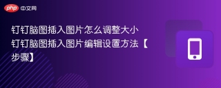 钉钉脑图插入图片怎么调整大小 钉钉脑图插入图片编辑设置方法【步骤】