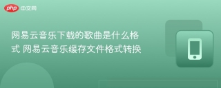 网易云音乐下载的歌曲是什么格式 网易云音乐缓存文件格式转换