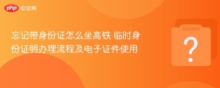 忘记带身份证怎么坐高铁 临时身份证明办理流程及电子证件使用