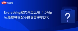 Everything搜文件怎么用_1.5Alpha版模糊匹配与拼音首字母技巧