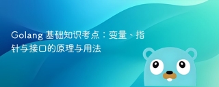 Golang 基础知识考点：变量、指针与接口的原理与用法