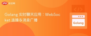 Golang 实时聊天应用：WebSocket 连接与消息广播