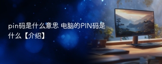 pin码是什么意思 电脑的PIN码是什么【介绍】