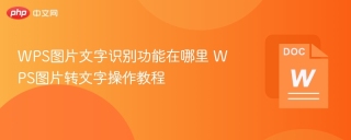 wps图片文字识别功能在哪里 wps图片转文字操作教程 - php中文网