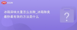冰箱异味太重怎么去除_冰箱除臭最快最有效的方法是什么 - php中文网