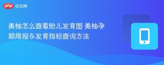 美柚怎么查看胎儿发育图 美柚孕期周报与发育指标查询方法