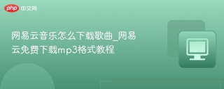 网易云音乐怎么下载歌曲_网易云免费下载mp3格式教程