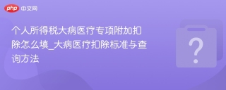 个人所得税大病医疗专项附加扣除怎么填_大病医疗扣除标准与查询方法 - php中文网