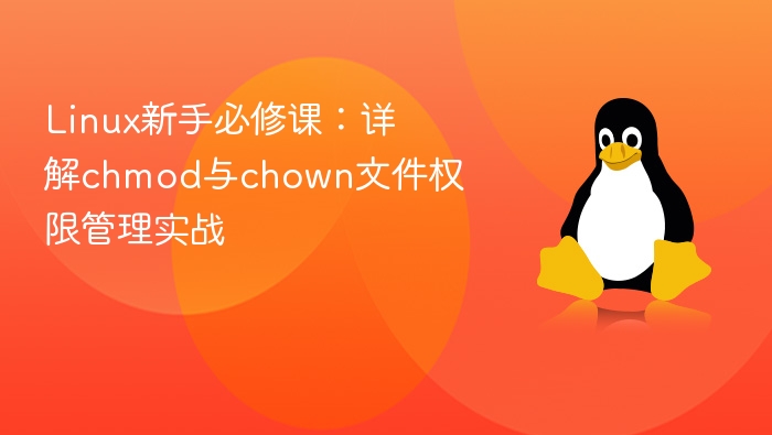linux新手必修课:详解chmod与chown文件权限管理实战 - php中文网