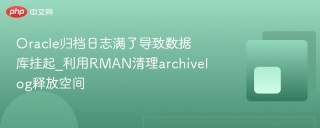 Oracle归档日志满了导致数据库挂起_利用RMAN清理archivelog释放空间