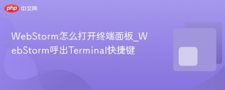 WebStorm怎么打开终端面板_WebStorm呼出Terminal快捷键
