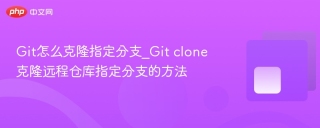 Git怎么克隆指定分支_Git clone克隆远程仓库指定分支的方法