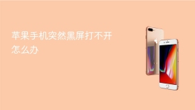 苹果手机突然黑屏打不开怎么办【解决方法汇总】