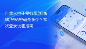 自然人电子税务局(扣缴端)初始密码是多少？初次登录设置指南