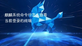 麒麟系统命令行怎么查看当前登录的终端