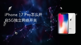iphone 17 pro怎么开启5g独立网络开关