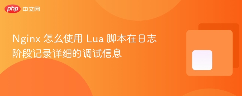 nginx 怎么使用 lua 脚本在日志阶段记录详细的调试信息