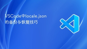 vscode中locale.json的备份与恢复技巧