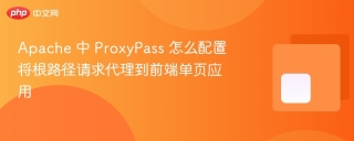 apache 中 proxypass 怎么配置将根路径请求代理到前端单页应用