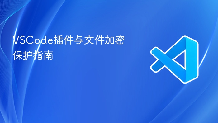 vscode插件与文件加密保护指南
