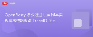 openresty 怎么通过 lua 脚本实现请求链路追踪 traceid 注入