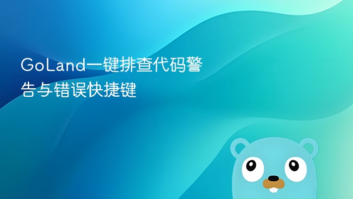 goland一键排查代码警告与错误快捷键